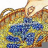 Menuai anggur - (menuai) Udara kluster untuk menyimpannya