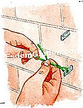 Pflanze einen Trollpfirsich - (Wenn) EsdemGarden