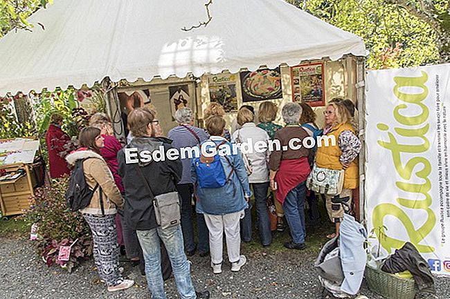 A 2017 Föld asztalig díj nyertesei - nyertesei A esdemgarden.comstand Saint Jean de Beauregard-ban található