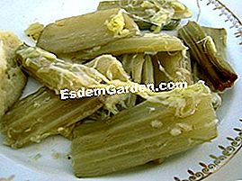 Cardon - (yang) Kad masak