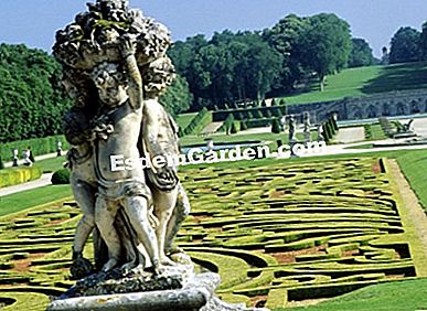André Le Nôtre, il genio dei giardini - (andré) Giardini di Vaux le Vicomte - © Milochau / Vaux le Vicomte