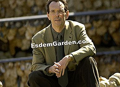 André Le Nôtre, il genio dei giardini - (andré) Pierre-André Lablaude - D.R. Versailles