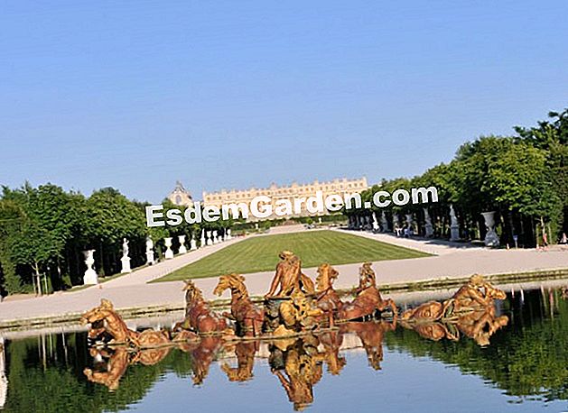 André Le Nôtre, il genio dei giardini - (nôtre) Molte feste renderanno omaggio nel 2013 ad andré Le Nôtre, e in particolare a Versailles -.C Mileto
