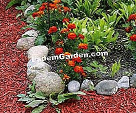 Wählen und installieren Sie Mulch und recycelte Mulch für Gartenwege - (mulch) © D.R.