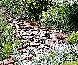 Wählen und installieren Sie Mulch und recycelte Mulch für Gartenwege - (mulch) © D.R.