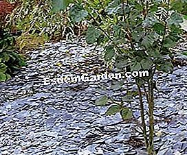 Wählen und installieren Sie Mulch und recycelte Mulch für Gartenwege - (oder) © D.R.