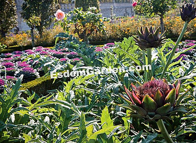Courson άνοιξη 2014, esdemgarden.comεκθέτει τις φωτογραφίες του -esdemgarden.com Ο κήπος των τροφίμων