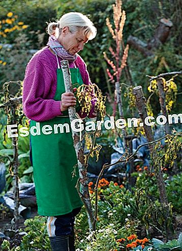 Courson άνοιξη 2014, esdemgarden.comεκθέτει τις φωτογραφίες του - courson Ο κήπος των τροφίμων