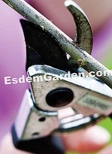 Courson άνοιξη 2014, esdemgarden.comεκθέτει τις φωτογραφίες του - courson Ο κήπος των τροφίμων