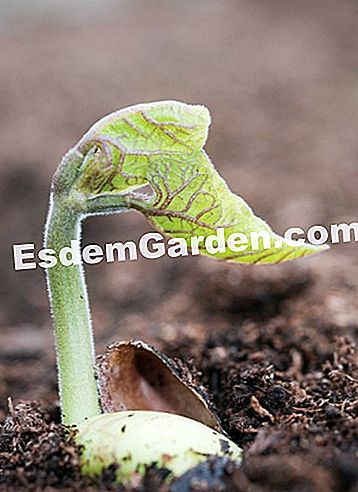 Courson άνοιξη 2014, esdemgarden.comεκθέτει τις φωτογραφίες του - courson F. Marre -esdemgarden.com