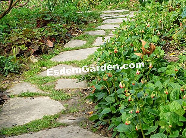 A burkolatú autópálya létrehozása a kertben - incertum Burkolt sikátorok a Jardin de Bagatelle-nél