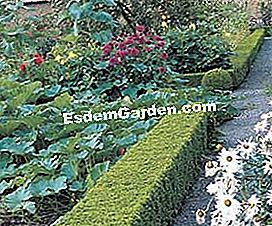 Hiasan di taman dapur: memasang kolam, sebuah pondok, sebuah arca - (sebuah) Tetapkan sempadan di taman dapur