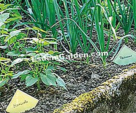Hiasan di taman dapur: memasang kolam, sebuah pondok, sebuah arca - (pondok) Label asli di taman dapur © EsdemGarden