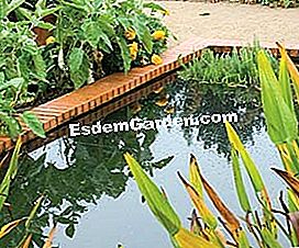 Hiasan di taman dapur: memasang kolam, sebuah pondok, sebuah arca - (taman) Kolam cantik © EsdemGarden