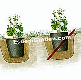 Disegnare un flusso: il paesaggio delle banche - (piante) Installa gli stabilimenti bancari