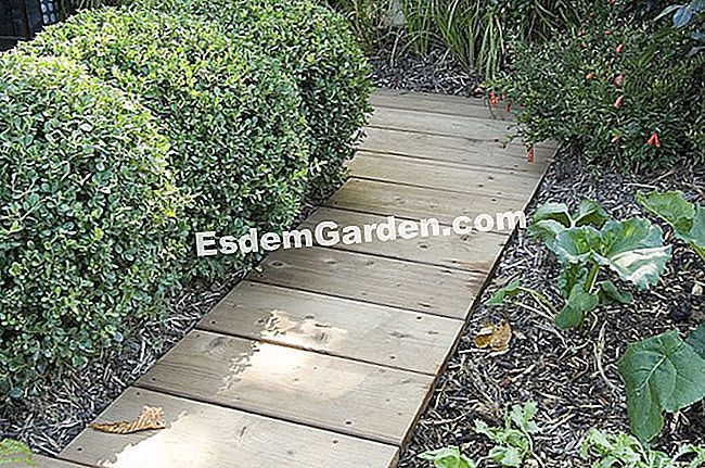Un viale di legno - (viale) F. Marre - EsdemGarden -