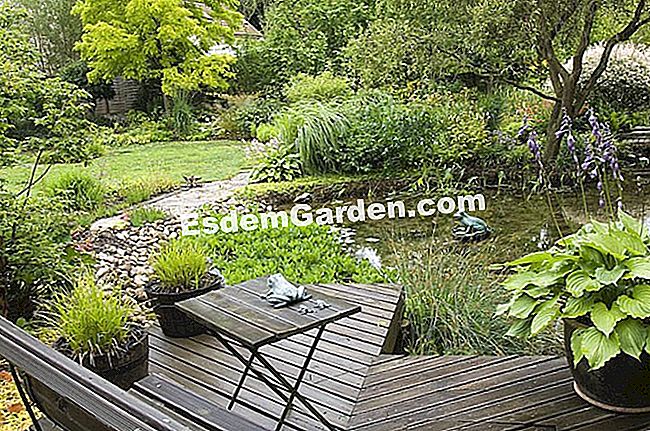 Terrazza rialzata: una soluzione per terreni in pendenza o ai bordi di una piscina - (soluzione) F. Marre - EsdemGarden - Il giardino di Grenouillère
