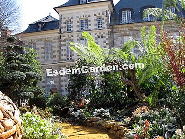 El jardín de François - Saint-Jean de Beauregard - S. Chaillot