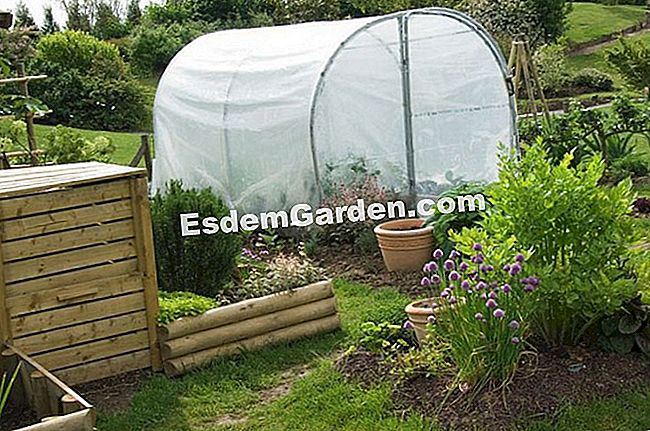 あなたの庭の温室をマウントして設置するには？