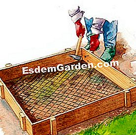 Fai un ciottolo per il giardino - (acqua) Costruisci un modello per il vitello cobble