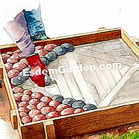 Fai un ciottolo per il giardino - (ciottoli) Disporre i ciottoli