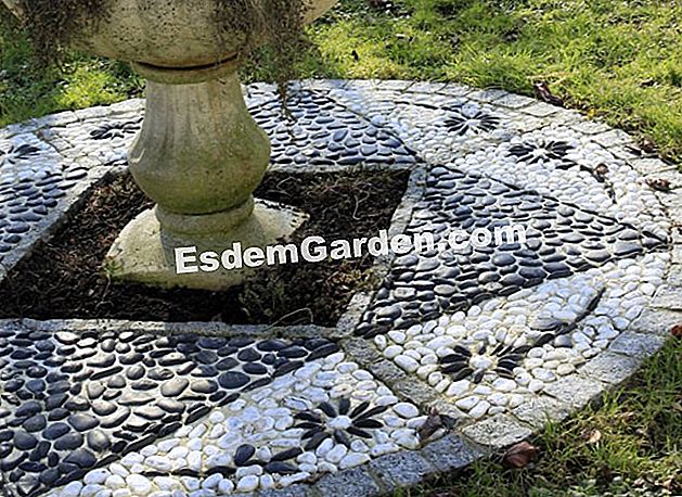 Fai un ciottolo per il giardino - (mosaico) Calade ai piedi di un bacino
