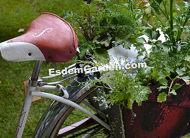 I nostri giardini del giardino preferiti 2013 - (giardino) Dadagreen in sella alla mia bici, Paris Label