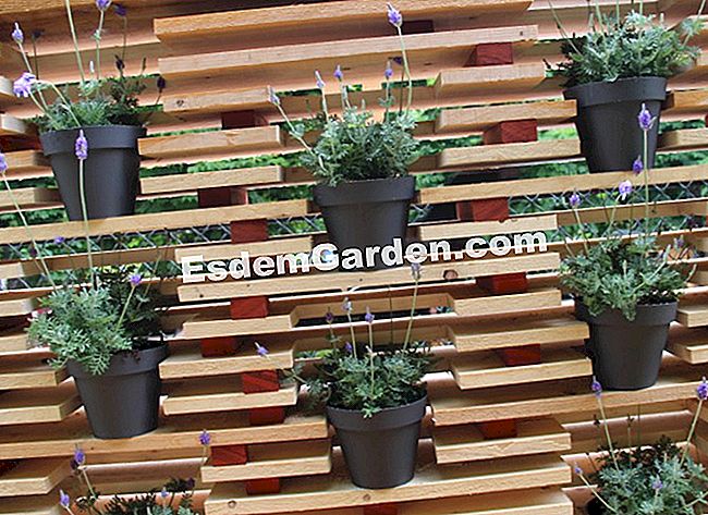 I nostri giardini del giardino preferiti 2013 - (giardini) Quando la tecnica va con l'estetica, le fragole e così via
