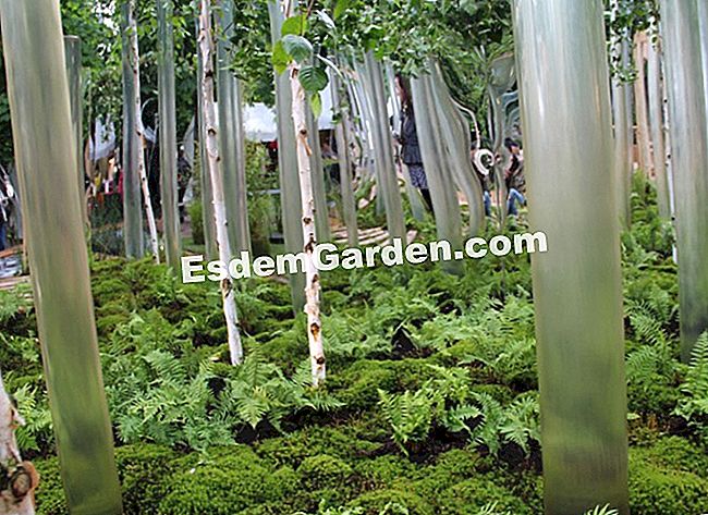 I nostri giardini del giardino preferiti 2013 - (giardini) Invert of H2O, Geo-concept / N2B watering / Wood bernard