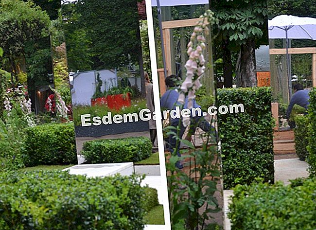 I nostri giardini del giardino preferiti 2013 - (giardini) Cattura le vertigini in giardino, lato di Parigi