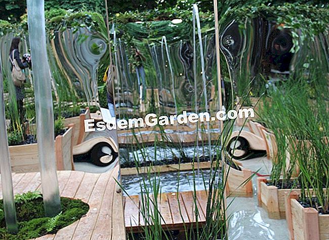 I nostri giardini del giardino preferiti 2013 - (foto) Perdersi tra riflessione e realtà, Invert d'H2O