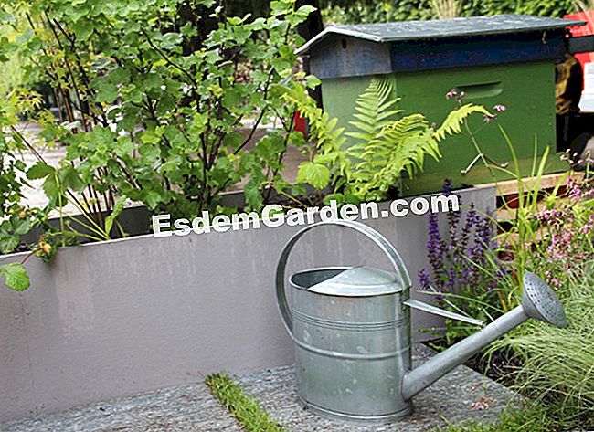 I nostri giardini del giardino preferiti 2013 - (giardini) Gli alveari hanno anche il loro posto sulla terrazza, fragola e cetera