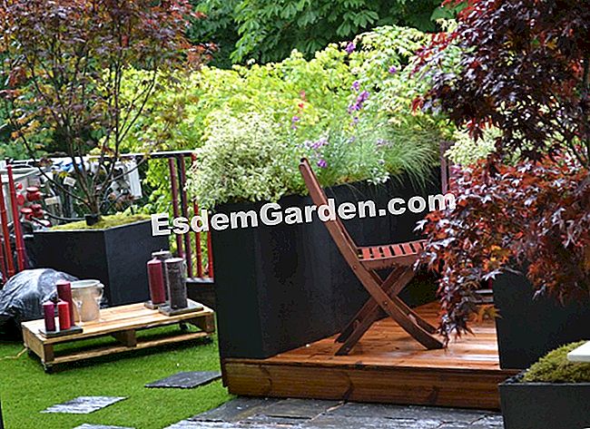 I nostri giardini del giardino preferiti 2013 - (garden) Pocket Garden, Garden in Capital