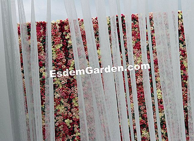I nostri giardini del giardino preferiti 2013 - (giardini) Al momento Grand Siècle, Laurent Perrier