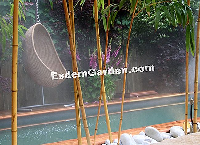 I nostri giardini del giardino preferiti 2013 - (foto) Il piacere del giardino, l'orticoltura e i giardini