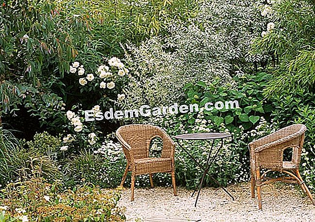 Una terrazza di ghiaia - (terrazza ghiaia) F. Marre - EsdemGarden - The Pinard Wood - Marie Marcat
