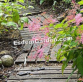 Ein Gehweg in Gittern - (gehweg) Gehweg Gitter