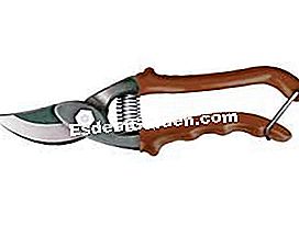 Beli pintar: alat dan peralatan asas di taman sayuran - (alat) I. Franc