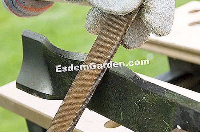 Buat perkakas anda yang terakhir - (untuk) F.Marre - EsdemGarden