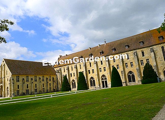Abatia și fundația din Royaumont (Val d'Oise) - (Royaumont) Abatia Royaumont - fotografie L. Calef