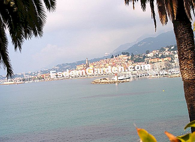 A Maria Serena kert (Alpes-Maritimes) - serena A villa megcsodálhatja a Földközi-tengert és az óvárosot