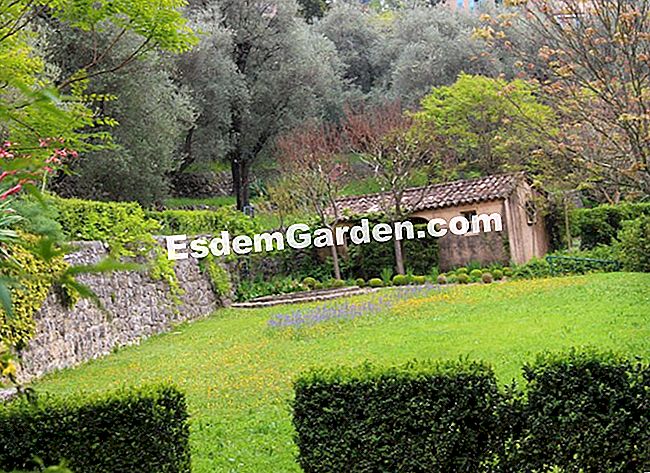 Taman Villa Noailles di Grasse (06) - (grasse) Taman villa Noailles