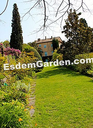Taman Villa Noailles di Grasse (06) - (villa) Jalan masuk rumput