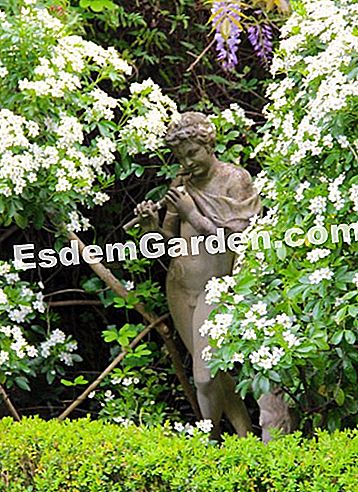 Taman Villa Noailles di Grasse (06) - (noailles) Patung-patung dan pokok oren Mexico
