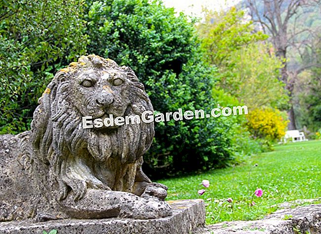Taman Villa Noailles di Grasse (06) - (noailles) Patung singa di Villa Noailles