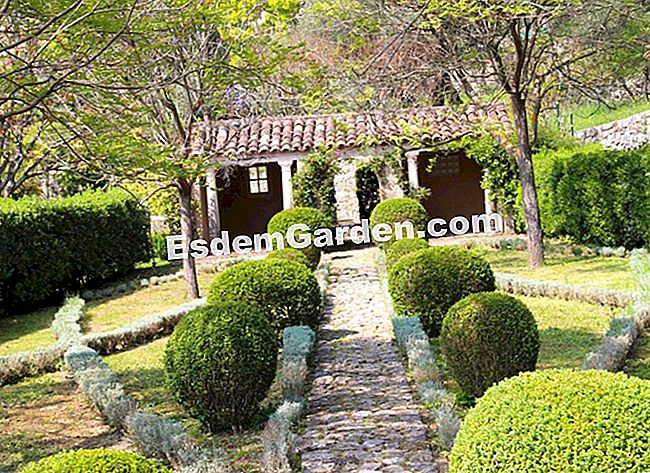 Taman Villa Noailles di Grasse (06) - (villa) kotak kayu dipotong ke dalam bola
