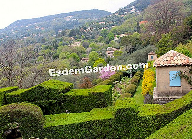 Taman Villa Noailles di Grasse (06) - (villa) Taman Villa Noailles
