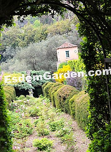 Taman Villa Noailles di Grasse (06) - (villa) Taman Villa Noailles