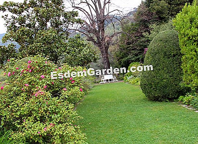 Taman Villa Noailles di Grasse (06) - (grasse) Taman Villa Noailles