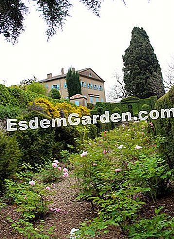 Taman Villa Noailles di Grasse (06) - (yang) Vila Noailles dilihat dari koridor peonies